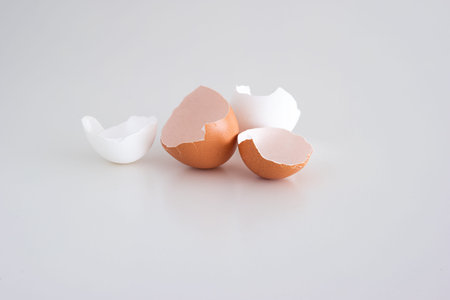Cracked broken open chicken eggshells on white background. Close up shot, top view, no people.