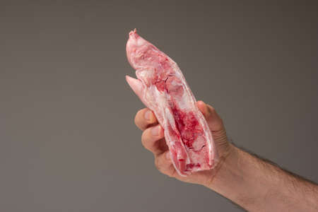 Fresh raw halved pig feet held by man's hand.の写真素材