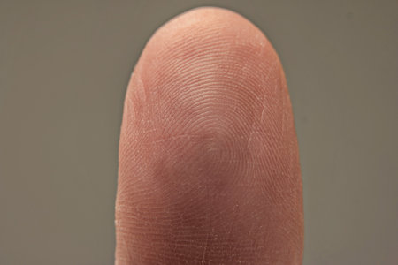 Caucasian male backside  view of thumb with unique fingerprint pattern. Macro close up studio shot, isolated on gray.の写真素材