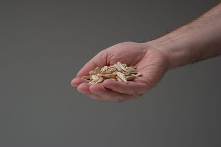 Whole dried sunflower seeds held in hand by Caucasian male hand. Top view, interior shot, shallow depth of field.の写真素材