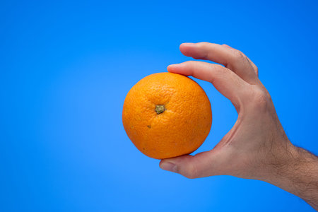 Ripe unpeeled orange fruit held in hand by Caucasian male. Close up studio shot, isolated on blue...