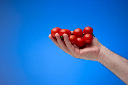 Fresh ripe red cherry tomatoes held in palm by Caucasian male hand. Close up studio shot, isolated on blue background.の写真素材