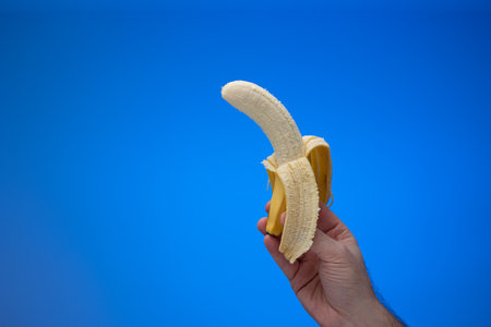 Ripe yellow half peeled banana held in hand by Caucasian male hand. Close up studio shot, isolated on blue background.の写真素材