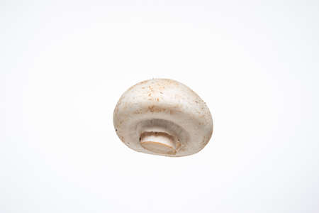 Fresh raw white Champignon mushroom. Close up studio shot, isolated on white background.の写真素材