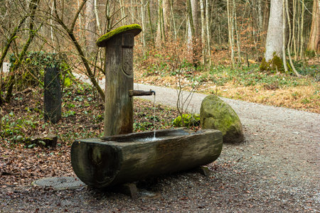 Carved out wooden public water fountain in the forest. Constant flowing water stream from the metal faucet, no people.の写真素材