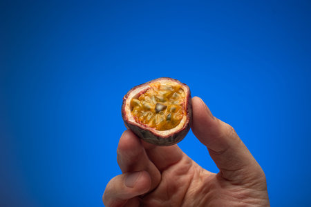 Raw halved maracuya or passion fruits held in hand by Caucasian male. Close up studio shot, isolated on blue background.の写真素材