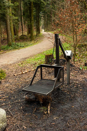 Public use metal grill station and fire wood in a forest. Day time, wide angle, no peopleの写真素材