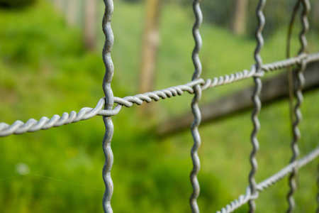 Woven metal wire mash grid fence outdoor. Close up shot, green background, no people.