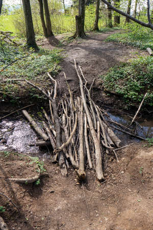 Small makeshift wood bridge over a forest water stream. Made out tree branches, daytime, no people.の写真素材