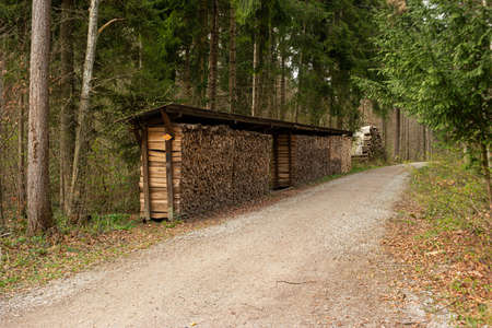 Chopped and stacked firewood alongside a forest pathway. Covered  pile of stacked firewood, day time, wide angle shot, no people.の写真素材