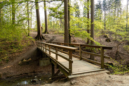 Wooden bridge over water stream in a forest in Europe. Early spring, daytime, sunny, no people, wide angle view.の写真素材