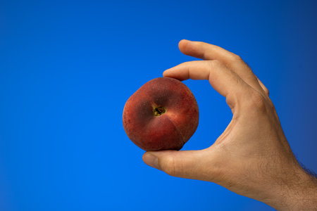 One ripe peach fruit held by Caucasian male hand. Close up studio shot, isolated on blue background.の写真素材