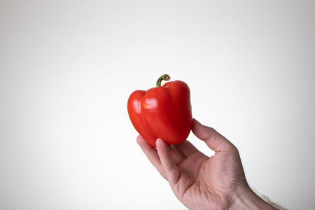 Fresh whole red bell pepper held in hand by Caucasian male hand. Close up studio shot, isolated on a...