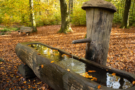 Fresh drinking spring water fountain in a forest in Europe. Close up shot autumn foliage, no people. Wooden carved fountain bowl with metal tap.の写真素材