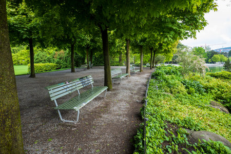 Empty benches in public park. Green vegetation, no people.