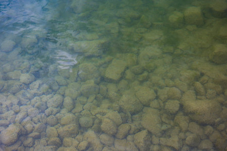 Moss covered rocks under cloudy river water. Top view, no people.