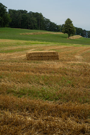 Bale of straw or hay in a field in Europe after the summer harvest. Cloudy day, no people.の写真素材