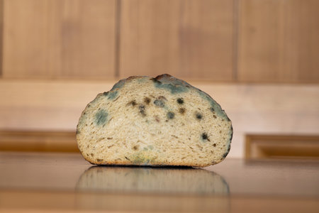 Stale, spoiled and moldy cut loaf of bread on a kitchen table. Close up shot, shallow depth of...