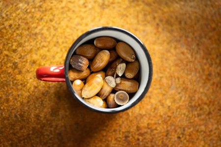 Brown forest oak acorns in a red tin cup or mug set on a dark orange kitchen counter top. Close up shot, top view, no people.の写真素材