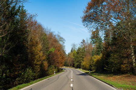 Beautiful winding empty forest road in autumn. No people, no traffic, blue sky, autumn foliage.の写真素材