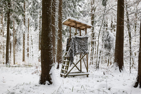 Wooden wildlife observation watch tower or deer stand in a forest in Europe, no people. Snow covered winter day, no people.の写真素材