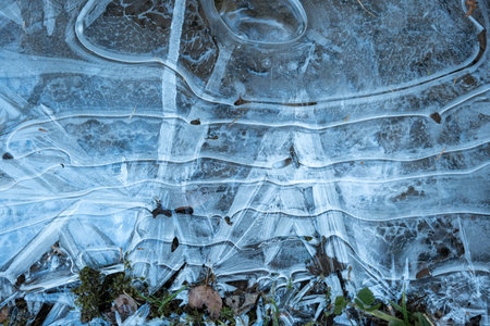 Frozen puddle in a forest. Shallow water frozen over autumn vegetation, top view, close up shot, no...