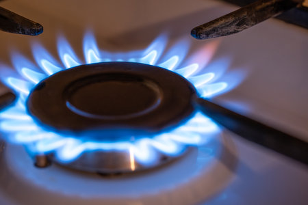 Domestic gas stove burner close up shot. Blue flame pattern, no people.の写真素材