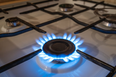 Domestic gas stove burner close up shot. Blue flame pattern, no people.の写真素材