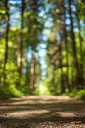 Blurred or defocused nature forest background or wallpaper. Blurry trees, specular highlights, bokeh, no people.の写真素材