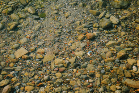 Shallow water bed of stone, pebbles or rocks. Top down view, clear water, sunny summer day, no peopleの写真素材
