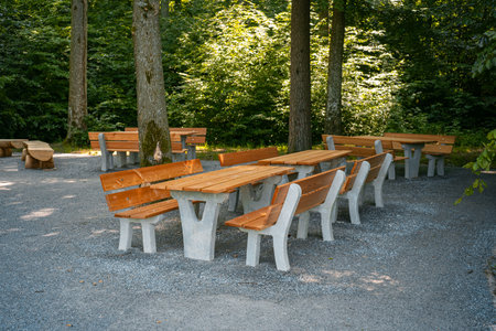 Newly build picnic benches in a public forest campsite in Europe. Wide angle view, sunny summer day, green vegetation, no peopleの写真素材