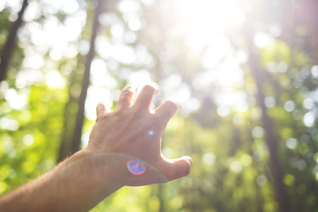 Caucasian male hand reaching upwards open hand gesture. Selective focus, bright forest nature background, sunny summer day, shallow depth of field, bokeh backgroundの写真素材