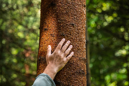 Caucasian male hand touching a tree trunk in a forest. Close up shot, shallow depth of field, rough tree bark textureの写真素材