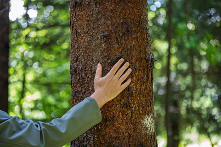 Caucasian male hand touching a tree trunk in a forest. Close up shot, shallow depth of field, rough tree bark textureの写真素材
