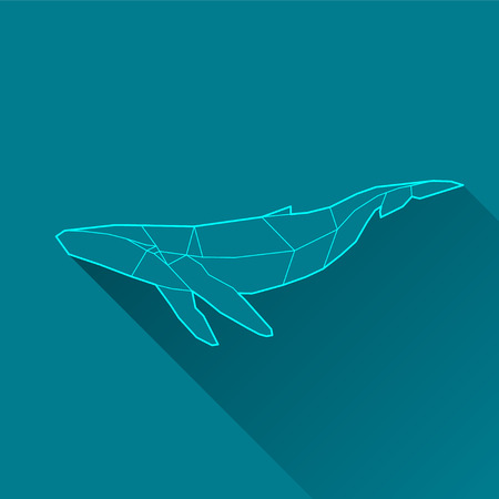 whale wireframe with long shadowのイラスト素材
