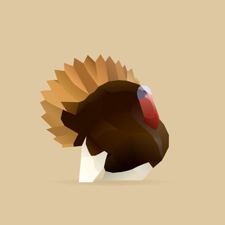 polygonal illustration of turkey isolated with shadowのイラスト素材