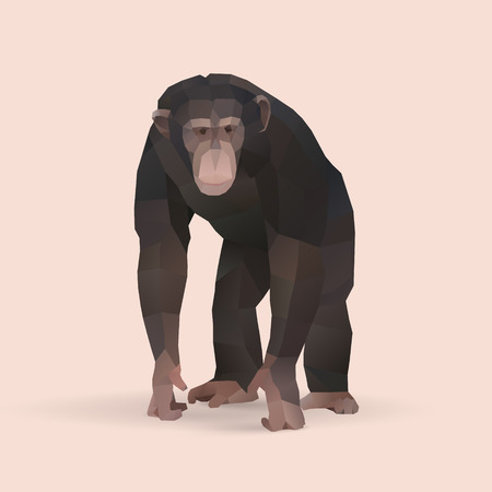 chimpanzee, polygonal geometric animal illustrationのイラスト素材