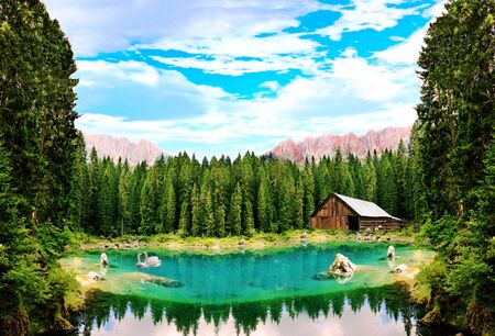 An unreal forest lake with swans. The picture composed of numerous images.の写真素材