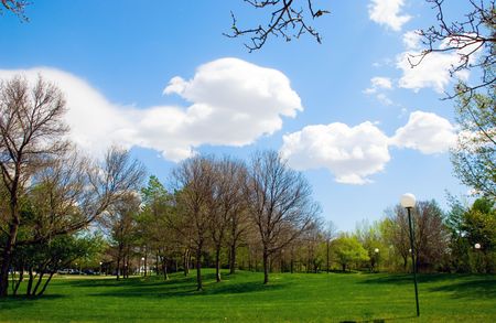 Street lights among the trees in a city parkの写真素材