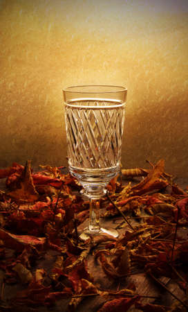 Ð¥ÑÑÑÑÐ°Ð»ÑÐ½ÑÐ¹ Ð±Ð¾ÐºÐ°Ð» Ð² Ð¾ÑÐµÐ½Ð½Ð¸Ñ Ð»Ð¸ÑÑÑÑÑ の写真素材