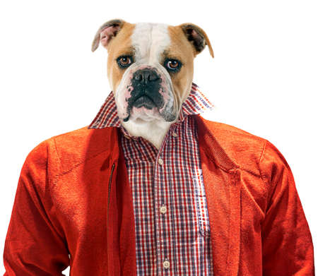 Dog-headed man isolated on white backgroundの写真素材