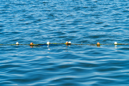 buoy rope barrier on the water with floats