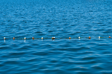 buoy rope barrier on the water with floats