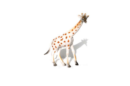 toy giraffe isolated on white backgroundの写真素材