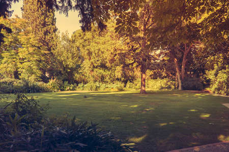 Beautiful gardenの写真素材