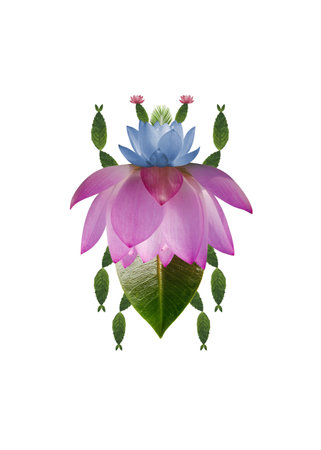 the insect made of flowersの写真素材