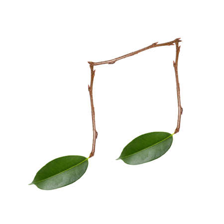 musical note and leaves on white backgroundの写真素材