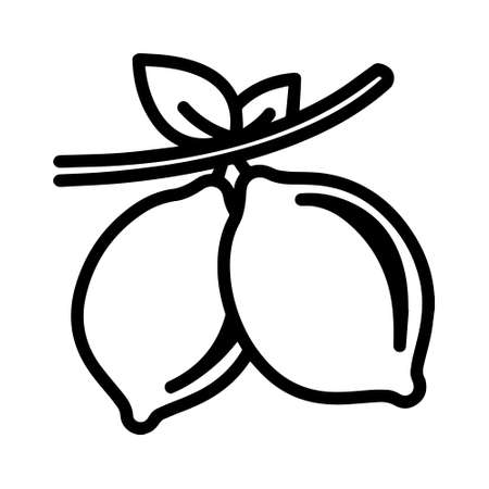 lemon on branch icon and logoのイラスト素材