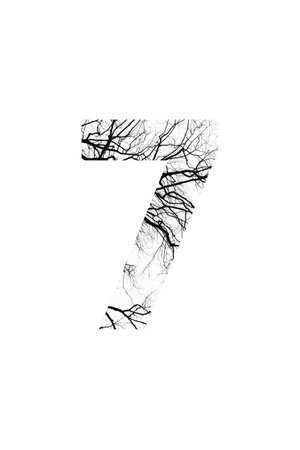 tree font style and natural fontの写真素材