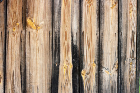 Wood wall texture. Natural pattern wood background